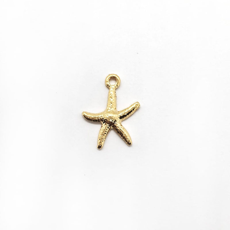 Dije Estrella de Mar Mediana con Ojal Chapa 24K Dije - Accesorios Rubi